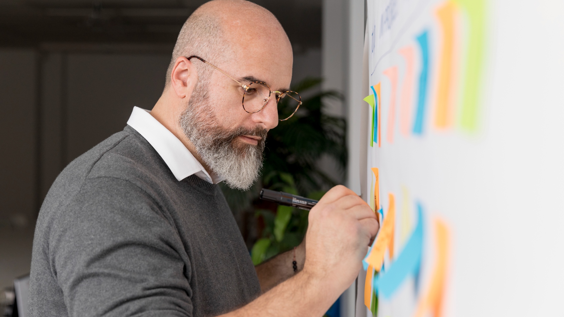 O que é Chief Operating Officer - efacont