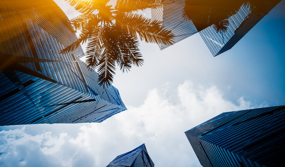 Vista de cima de edifícios altos e modernos de vidro em um paraíso fiscal ao redor de uma palmeira com o sol brilhando através de suas folhas, criando um reflexo quente na lente. O céu azul e as nuvens brancas contrastam com os tons frios dos arranha-céus. - Efacont