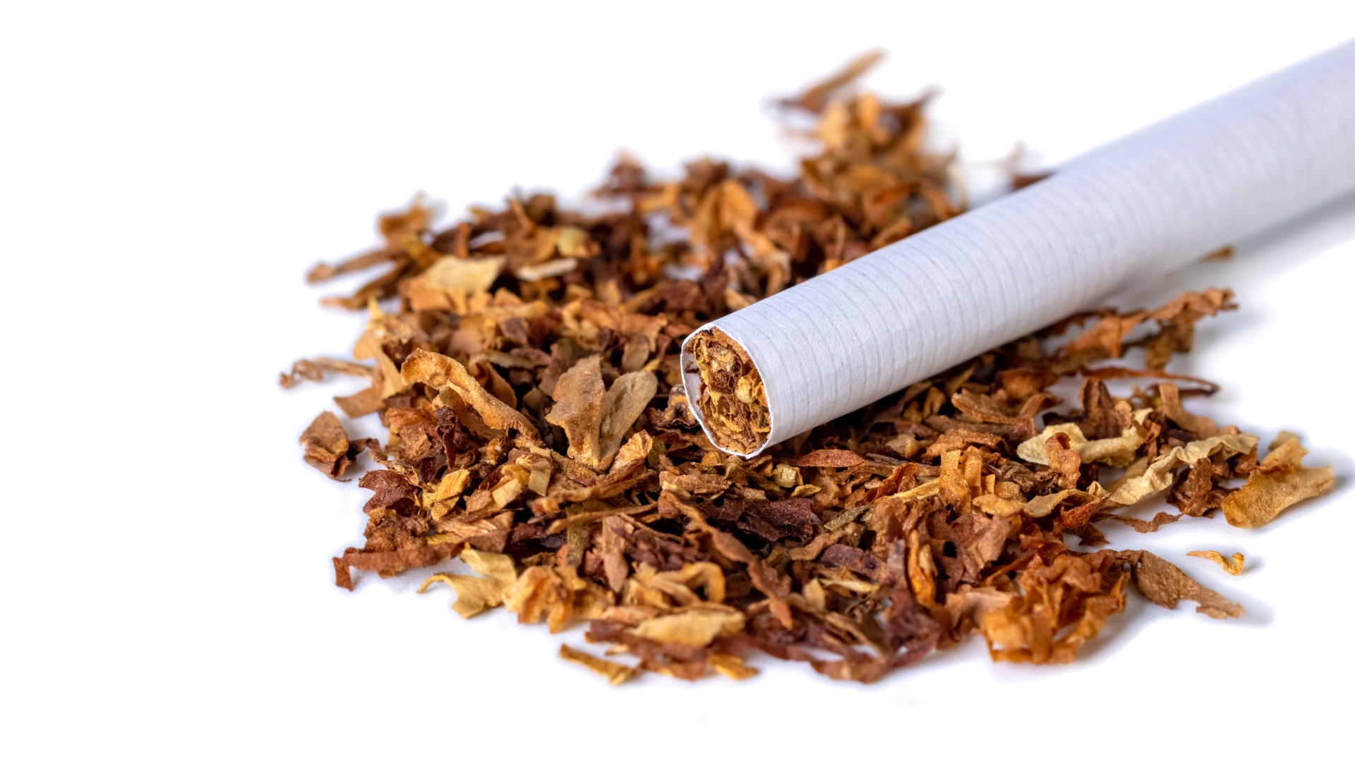 Um close-up de um cigarro parcialmente desenrolado, sujeito à IEC, repousa sobre folhas soltas de tabaco. O cigarro cilíndrico com papel branco revela tabaco marrom seco e finamente cortado em seu interior. As folhas ao redor variam em tons de marrom claro a escuro em um fundo branco simples. - Efacont
