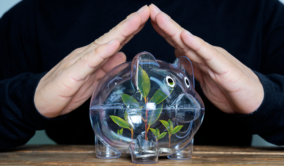 Duas mãos formam um teto protetor sobre um cofrinho transparente contendo uma pequena planta, simbolizando a proteção da poupança e o crescimento — mesmo em um clima econômico desafiador. O cofrinho fica sobre uma superfície de madeira. - Efacont