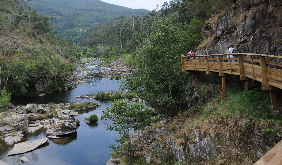 Uma passarela de madeira se curva ao longo de uma encosta rochosa sobre um rio tranquilo em Arouca, nos famosos Passadiços do Paiva. Várias pessoas apreciam a vista panorâmica, cercada por árvores verdes exuberantes e montanhas arborizadas - uma prova do crescimento sustentável. - Efacont
