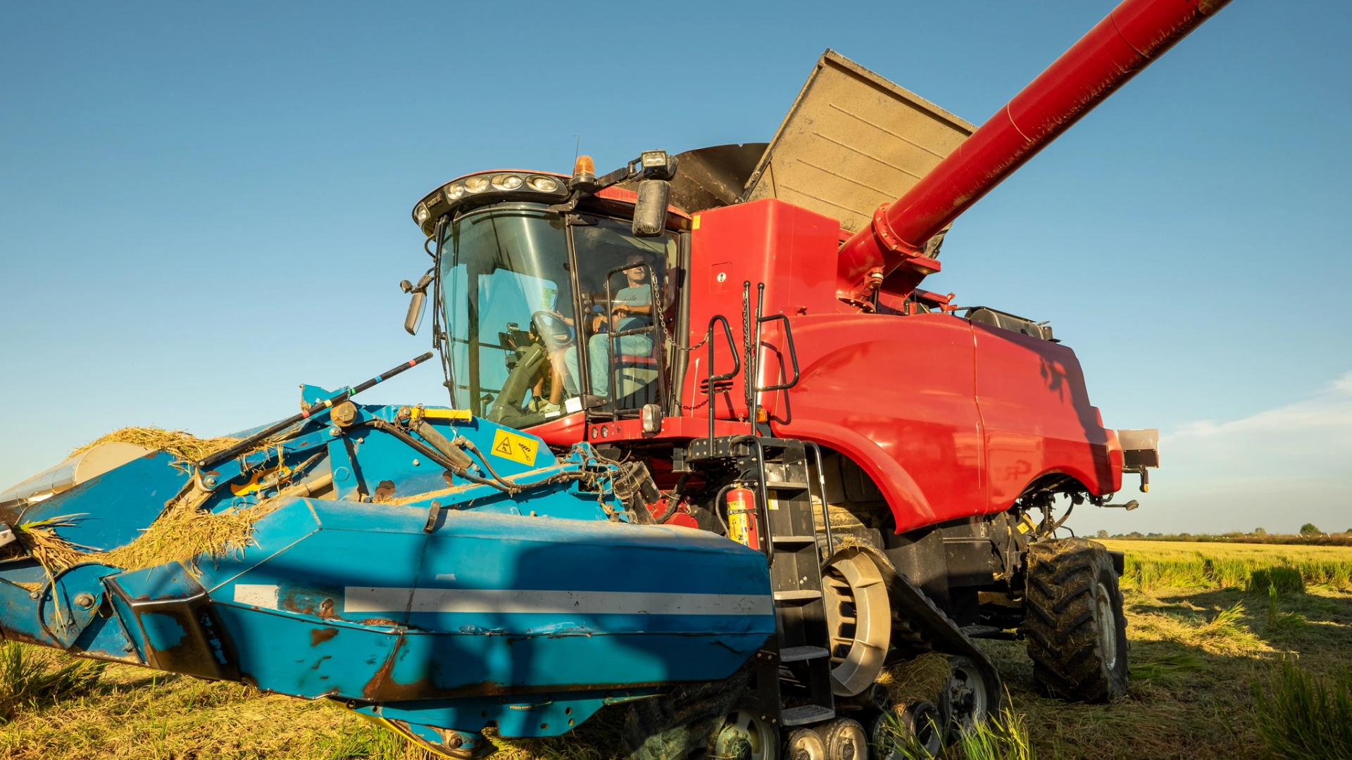 Agroindústria moçambique - efacont